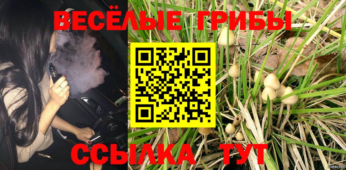 Белореченск  Галлюциногенные грибы Magic Shrooms  купить  сайты  Вход с VPN 